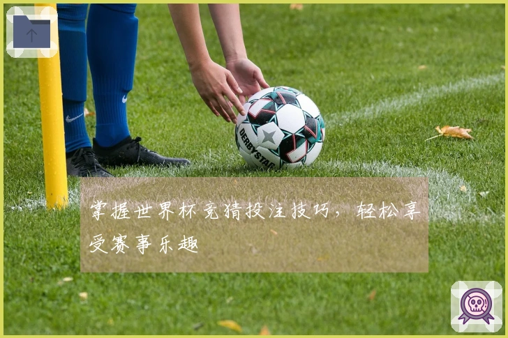 掌握世界杯竞猜投注技巧，轻松享受赛事乐趣