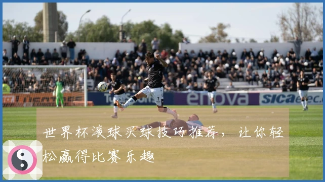 世界杯滚球买球技巧推荐，让你轻松赢得比赛乐趣