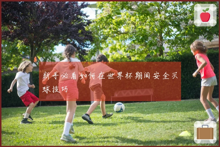 新手必看如何在世界杯期间安全买球技巧