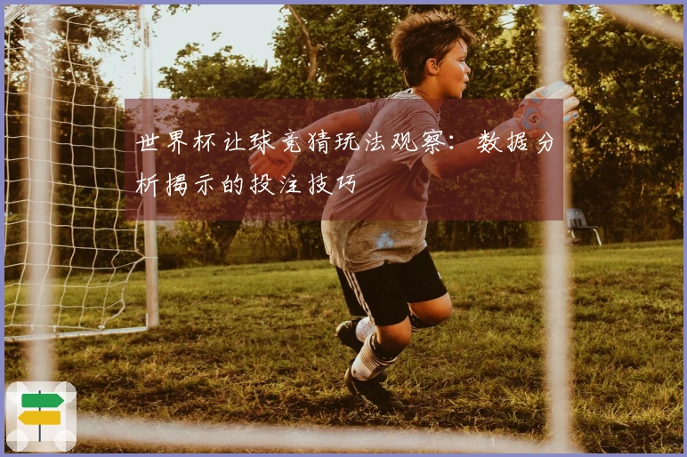 世界杯让球竞猜玩法观察：数据分析揭示的投注技巧