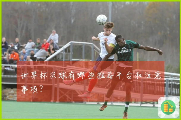 世界杯买球有哪些推荐平台和注意事项？