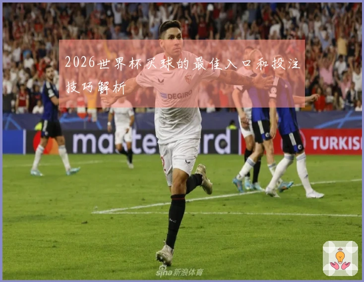 2026世界杯买球的最佳入口和投注技巧解析