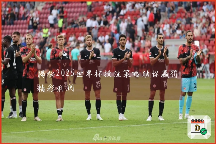 揭秘2026世界杯投注策略助你赢得精彩利润