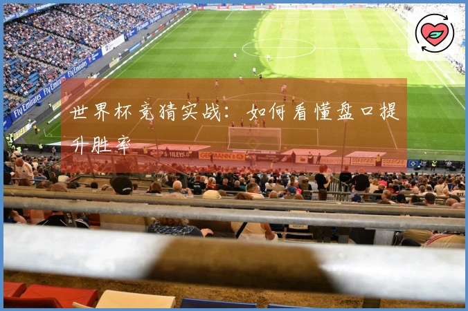 世界杯竞猜实战：如何看懂盘口提升胜率