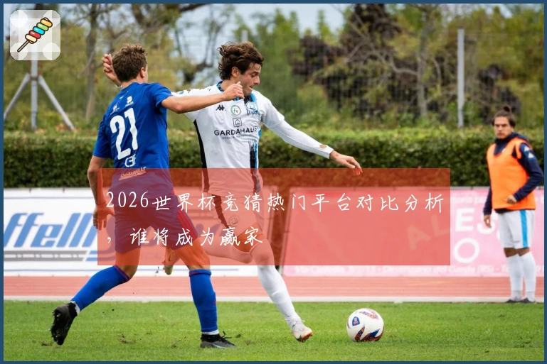 2026世界杯竞猜热门平台对比分析，谁将成为赢家