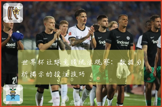 世界杯让球竞猜玩法观察：数据分析揭示的投注技巧