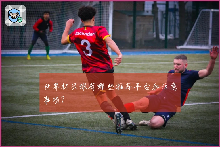 世界杯买球有哪些推荐平台和注意事项？
