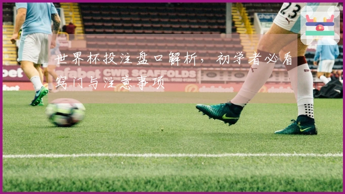 世界杯投注盘口解析，初学者必看窍门与注意事项