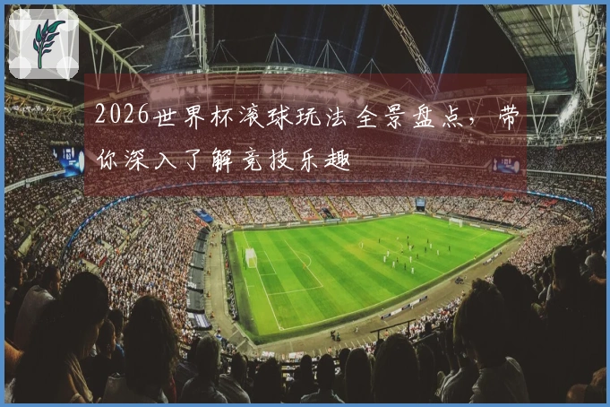 2026世界杯滚球玩法全景盘点，带你深入了解竞技乐趣