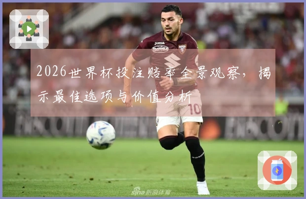 2026世界杯投注赔率全景观察，揭示最佳选项与价值分析