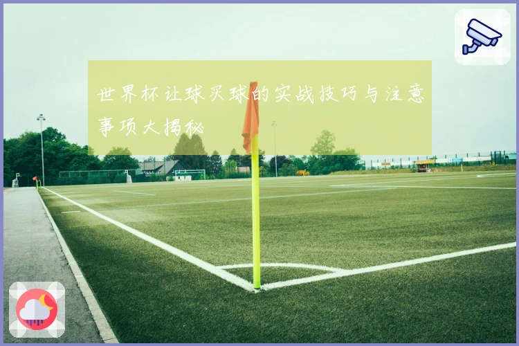 世界杯让球买球的实战技巧与注意事项大揭秘