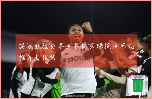 实战经验分享世界杯买球投注网站推荐与技巧