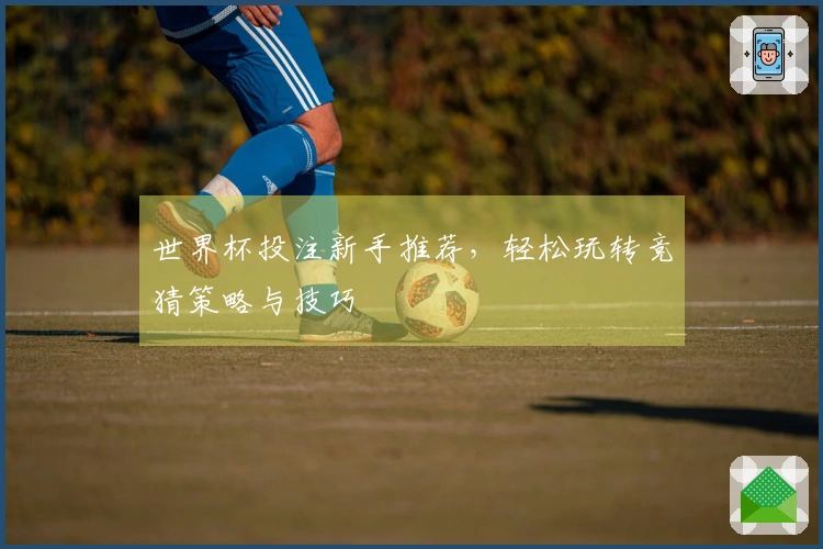 世界杯投注新手推荐，轻松玩转竞猜策略与技巧