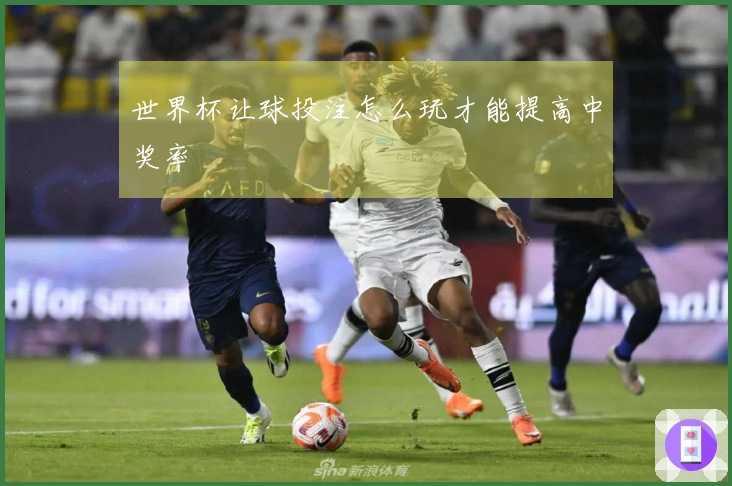 世界杯让球投注怎么玩才能提高中奖率