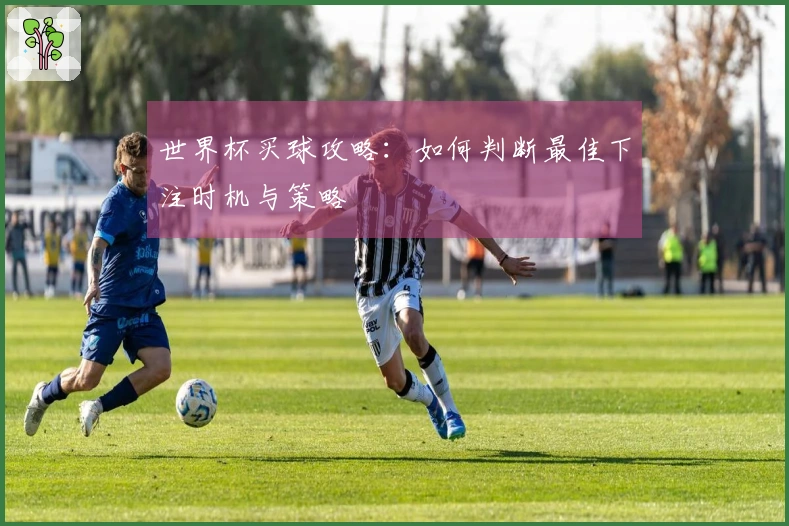 世界杯买球攻略：如何判断最佳下注时机与策略